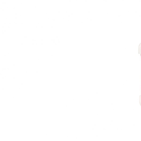 KARINA Пульт управления Karina Case C15 White